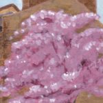 East Greenwich Blossoms Header