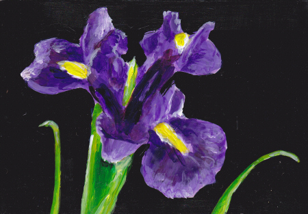 Iris on claybord
