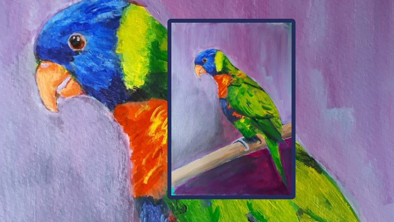 Drawing a Parrot on #DrawABirdDay