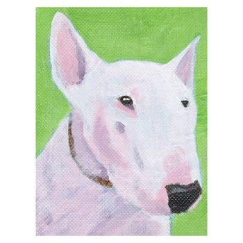English Bull Terrier Poster Print