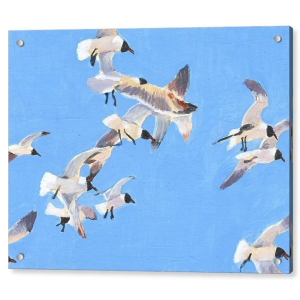 Flock of Seagulls 18 x 24 inches Acrylic Print Wall Art