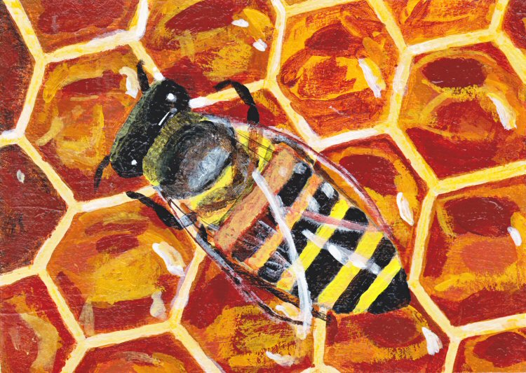 Illustration Friday: Sweet - Honeycomb
