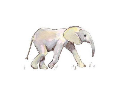 Baby Elephant in Pastel