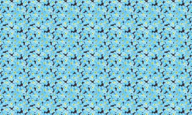 Forget Me Not Pattern