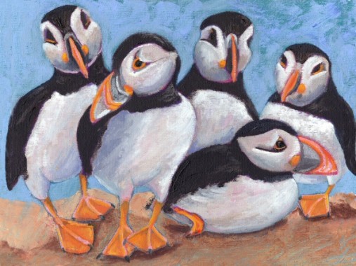 Puffins