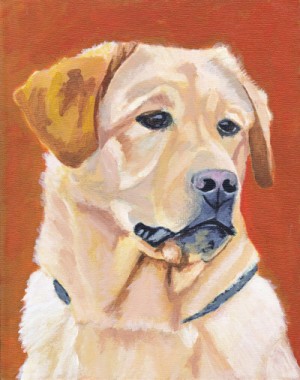 Dog on Orange