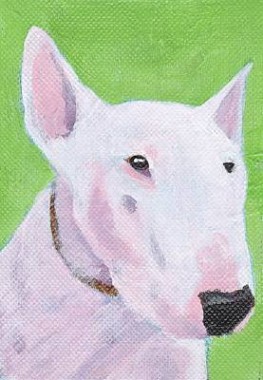 Bull Terrier