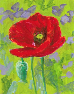 Poppy Flower