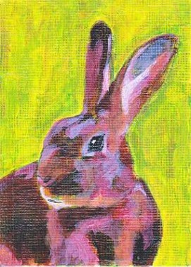 Red Belgian Hare Rabbit