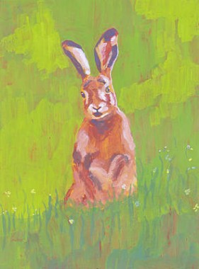 Red Rabbit In Green Grass