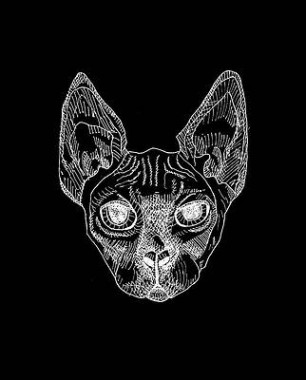 Sphynx Cat